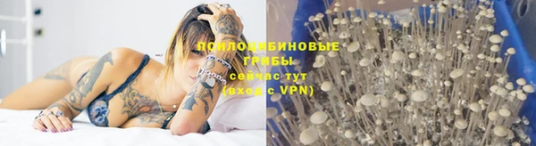 ECSTASY Приозерск