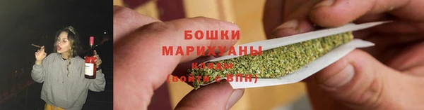 сатива Протвино